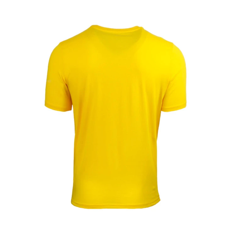 Puma Borussia Dortmund Fanswear 2024-2025 Jersey